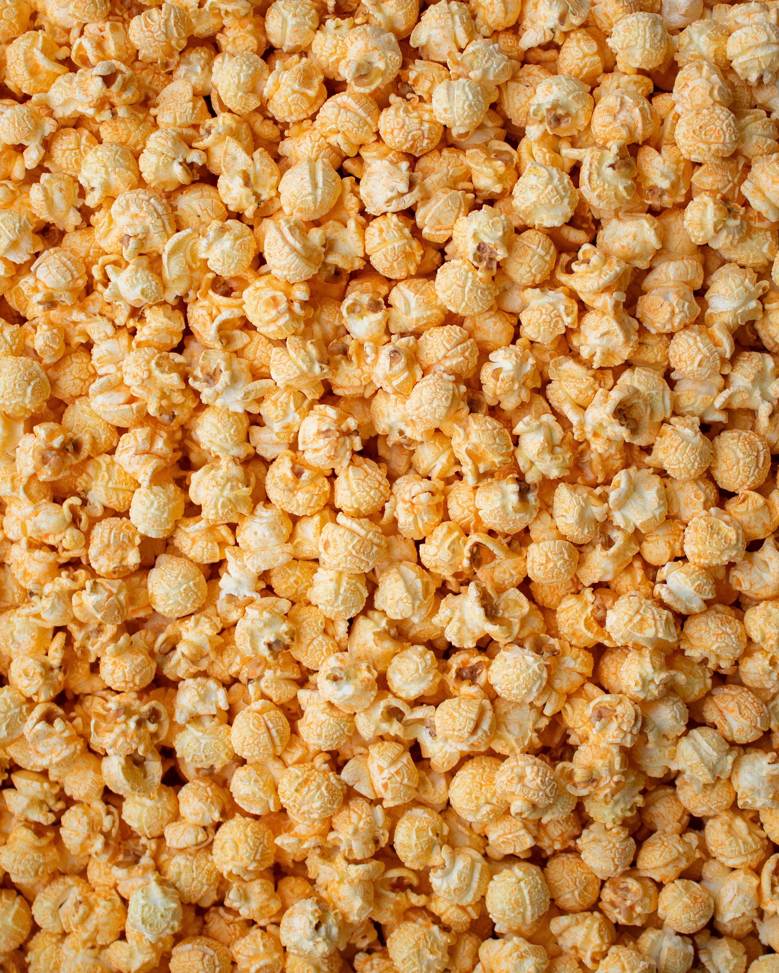 Cheesy Cheddar